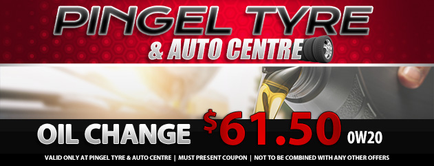 Synthetic Oil Change 0W20 Special